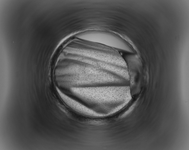 X0000083570830200703021744