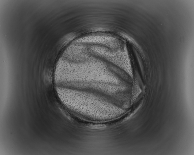 X0000083570833200703021744