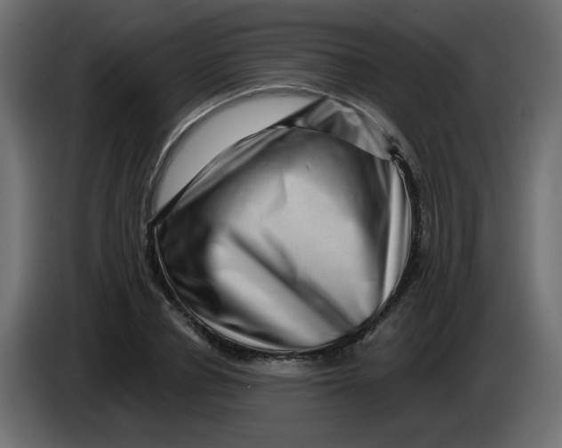 X0000083570834200703021744