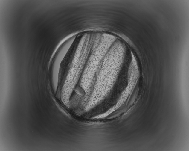 X0000083570838200703021744