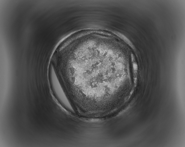 X0000083570839200703021744