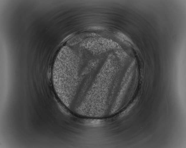 X0000083570841200703021744