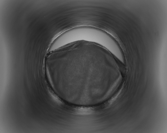 X0000083570842200703021745