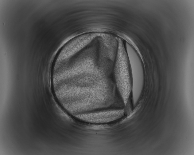X0000083570843200703021745