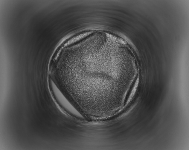 X0000083570845200703021745