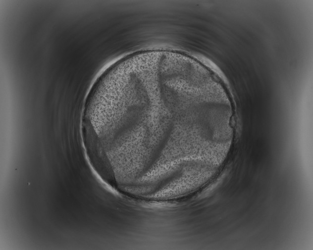 X0000083570847200703021745