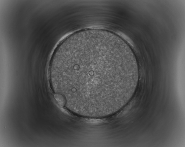 X0000083570848200703021745
