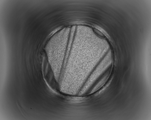 X0000083570849200703021745