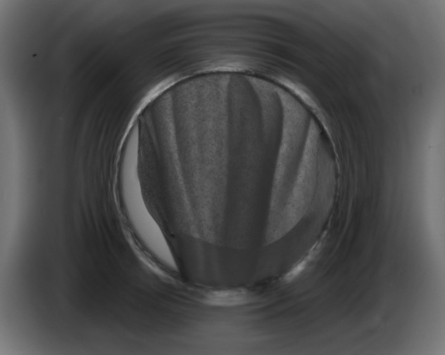 X0000083570850200703021745