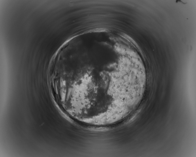 X0000083570851200703021745