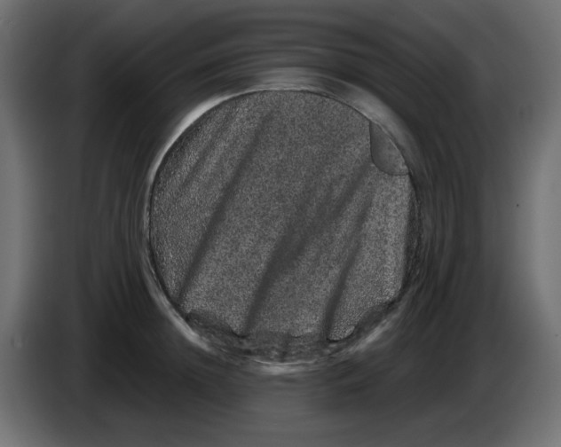 X0000083570852200703021745