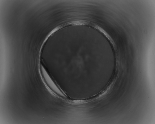 X0000083570853200703021745