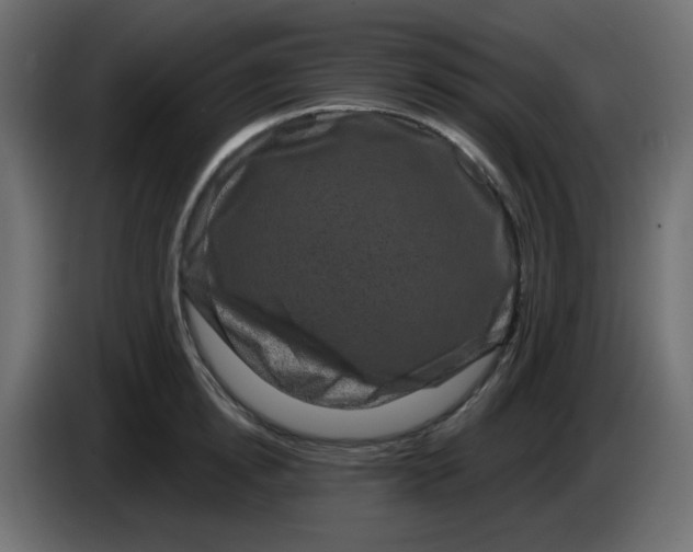 X0000083570854200703021745