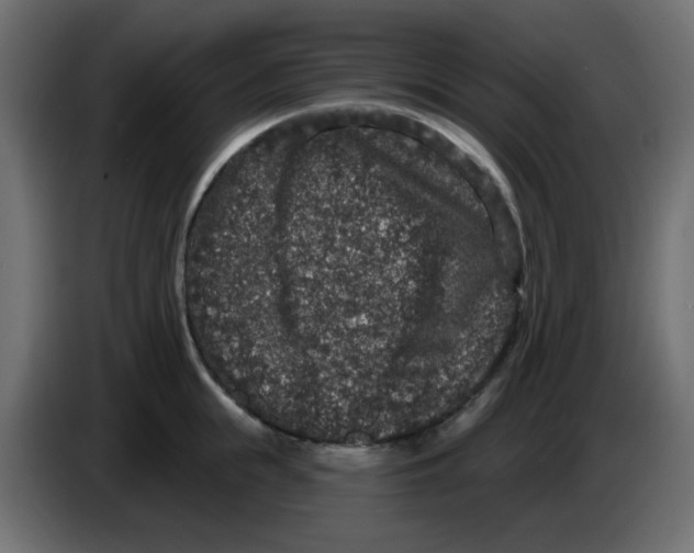 X0000083570855200703021745