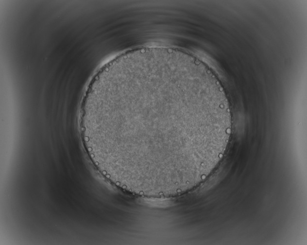 X0000083570856200703021745