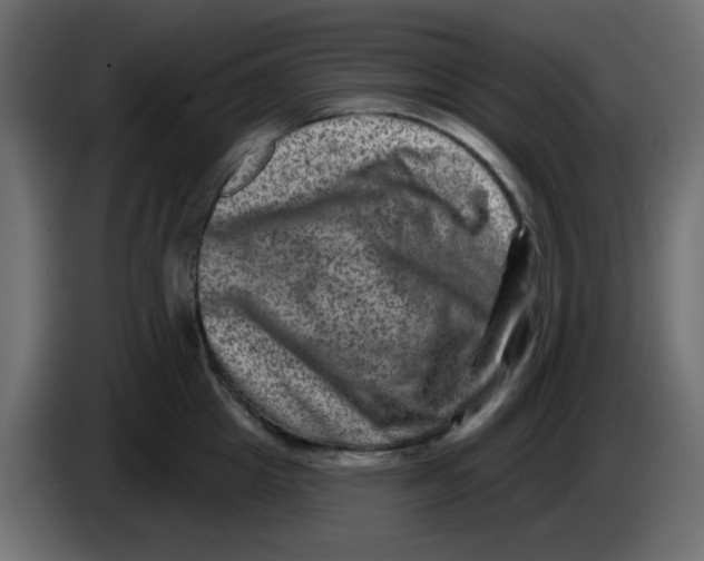 X0000083570857200703021745