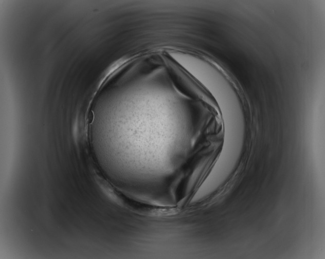 X0000083570858200703021745