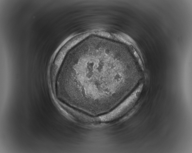 X0000083570859200703021745
