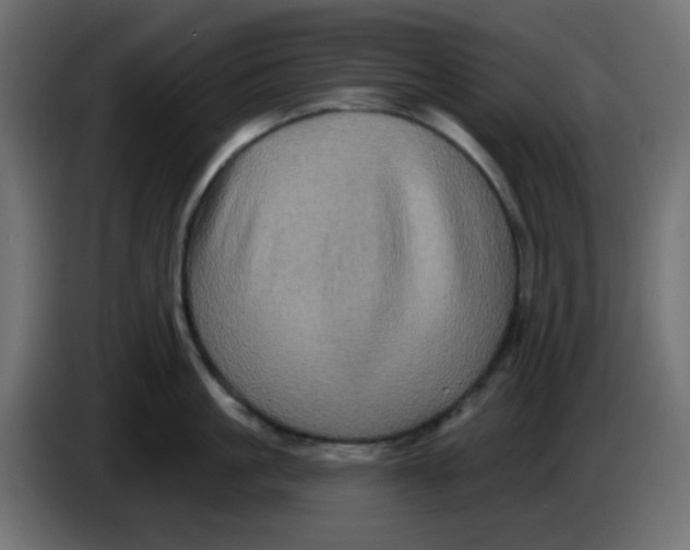 X0000083570861200703021745