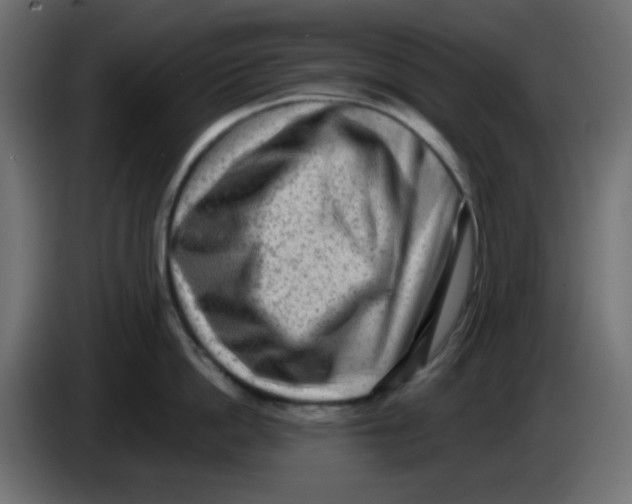 X0000083570862200703021745