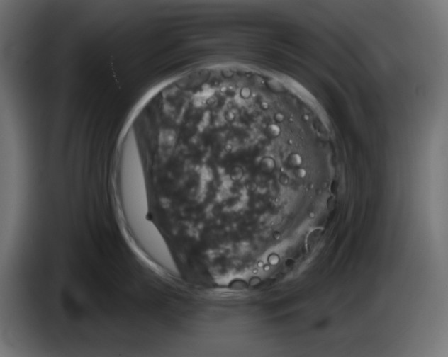 X0000083570863200703021745