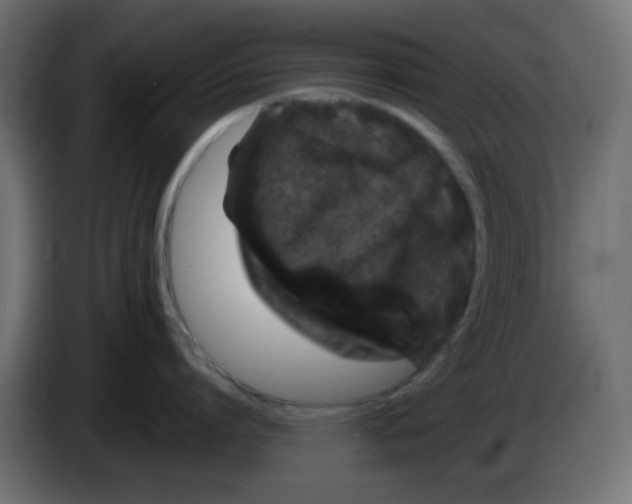X0000083570864200703021745