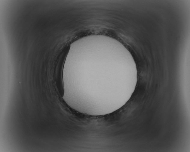 X0000083570865200703021744