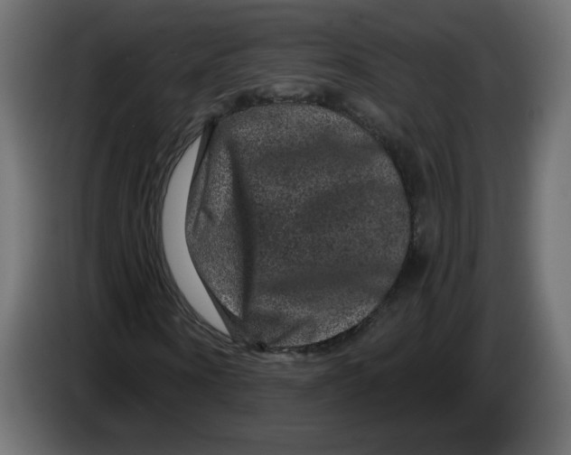 X0000083570866200703021744