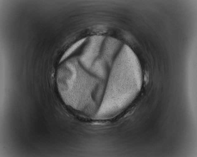 X0000083570867200703021744