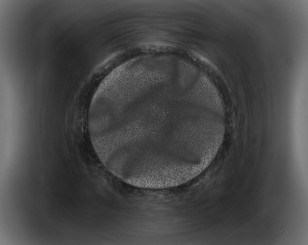 X0000083570870200703021744