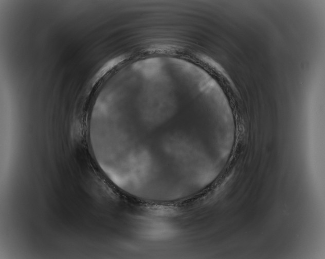 X0000083570874200703021744