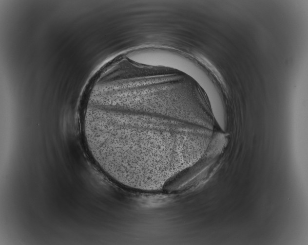 X0000083570876200703021744