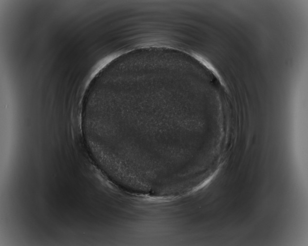 X0000083570877200703021744