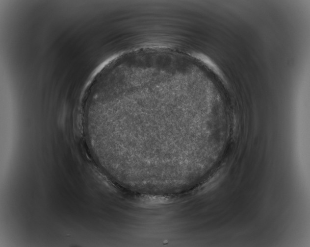 X0000083570878200703021744
