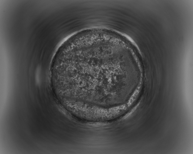 X0000083570879200703021744