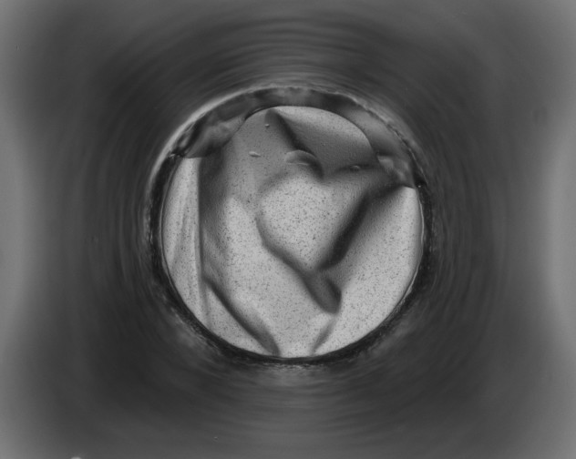 X0000083570880200703021744