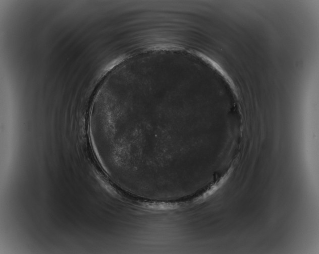 X0000083570881200703021744