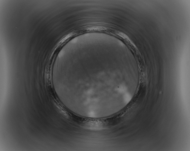 X0000083570882200703021744