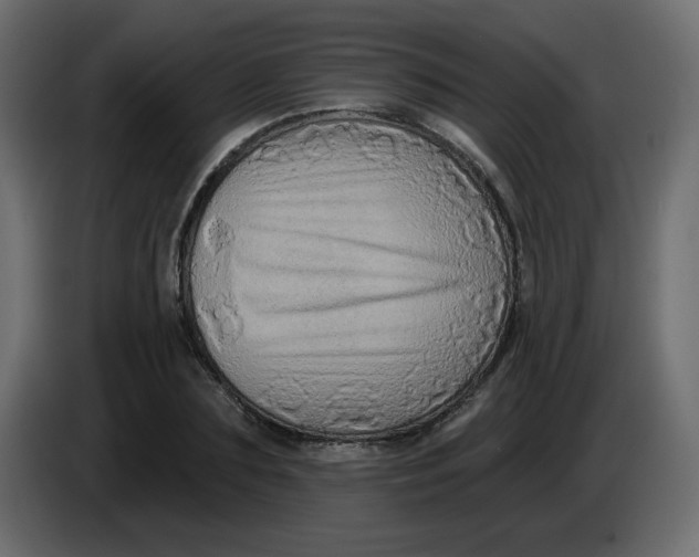 X0000083570883200703021744