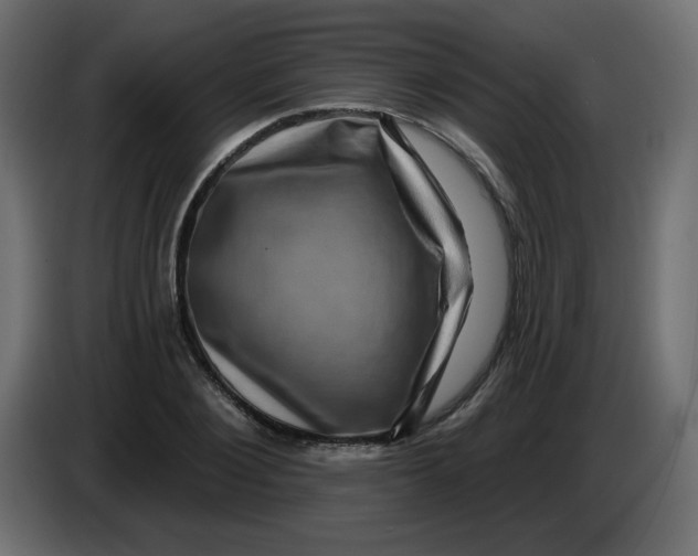 X0000083570884200703021744