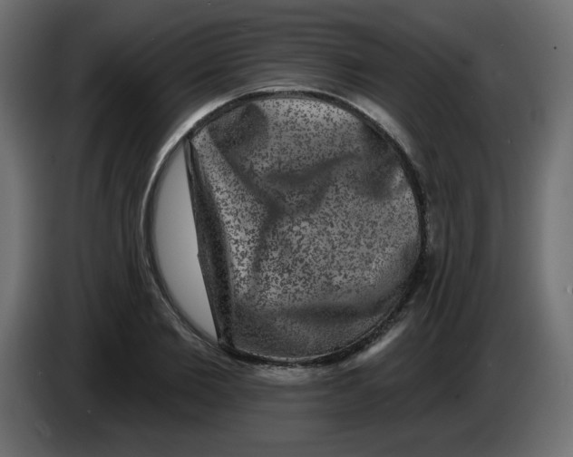 X0000083570885200703021744