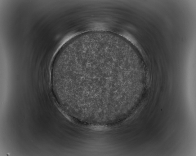 X0000083570886200703021744