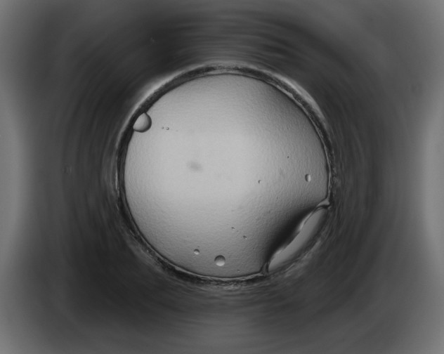 X0000083570887200703021744