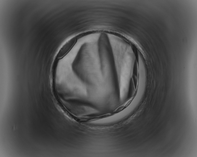 X0000083570888200703021744