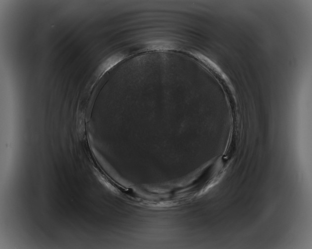 X0000083570889200703021744