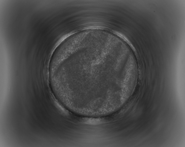 X0000083570890200703021744