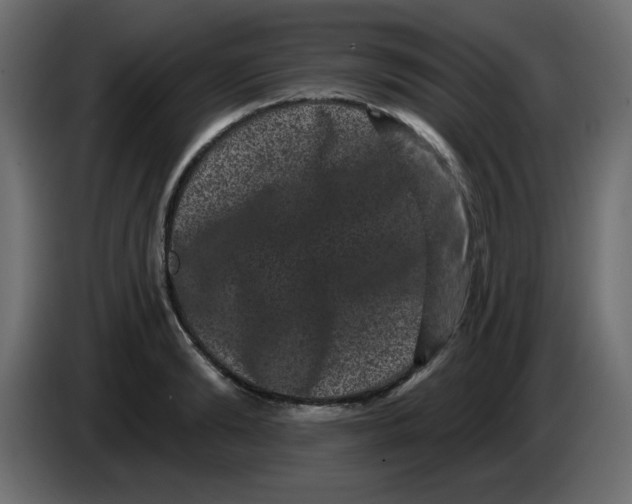 X0000083570894200703021744