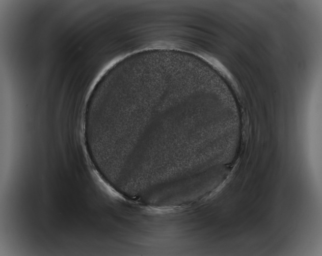 X0000083570896200703021743