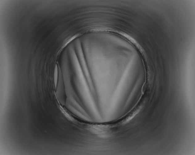 X0000083570897200703021743