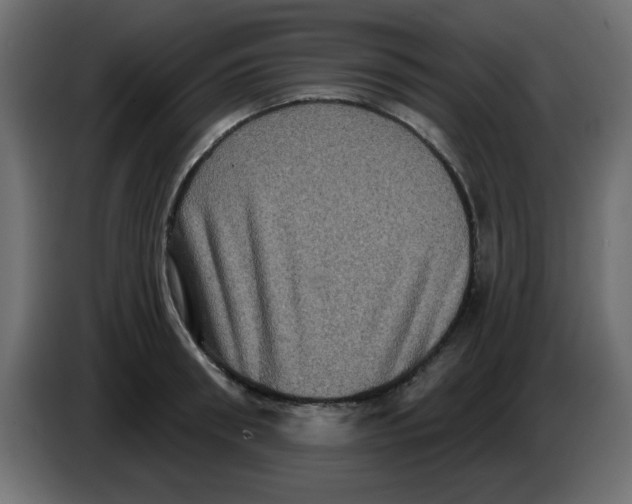 X0000083570898200703021743